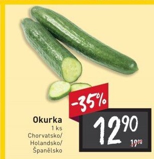 Okurka hadovka