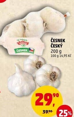 Česnek český