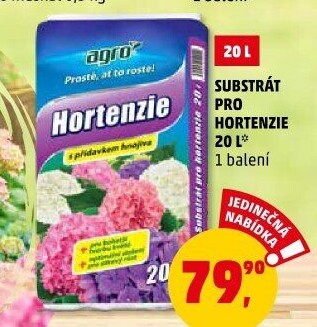 Substrát pro hortenzie Agro