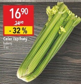 Celer řapíkatý