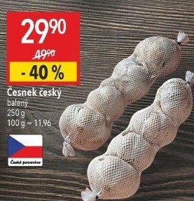 Česnek český