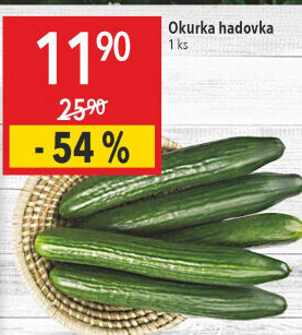 Okurka hadovka