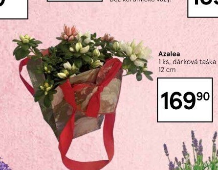 Azalka