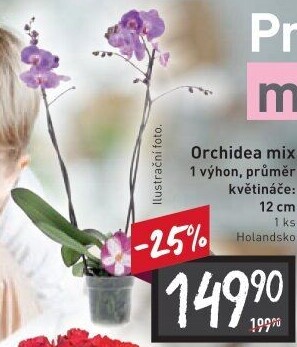 Orchidej