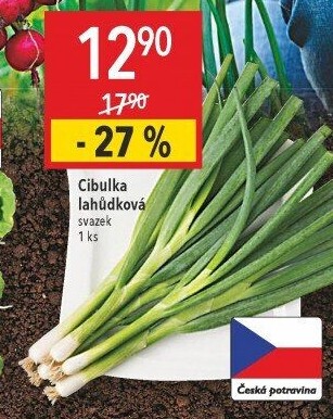Jarní cibule svazek