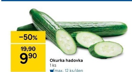 Okurka hadovka