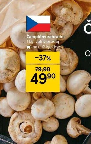 Žampiony zahradní