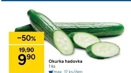 Okurka hadovka