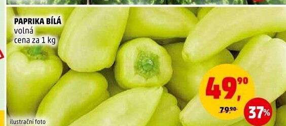 Paprika bílá
