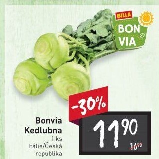 Kedlubna bílá Billa Bonvia