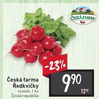 Ředkvičky svazek Česká farma