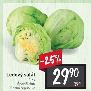 Salát ledový