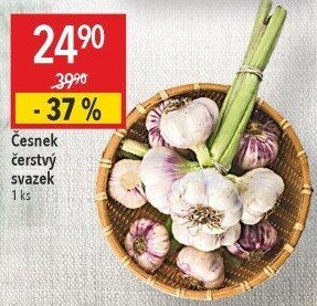 Česnek čerstvý svazek