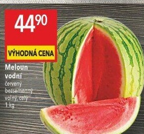 Meloun vodní bezsemenný