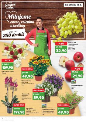 akční leták Kaufland 18.5.2022-24.5.2022