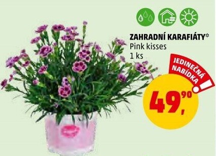 Karafiát