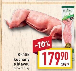 Králík Hermi
