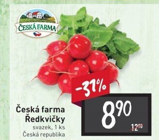 Ředkvičky svazek Česká farma