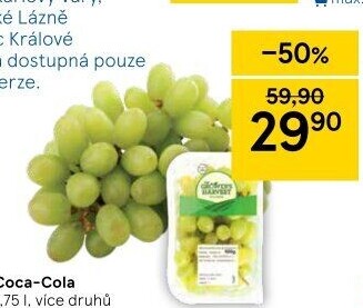 Hrozny bílé bezsemenné The Grower'