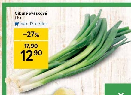 Jarní cibule svazek
