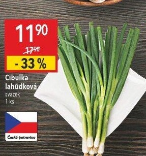 Jarní cibule svazek