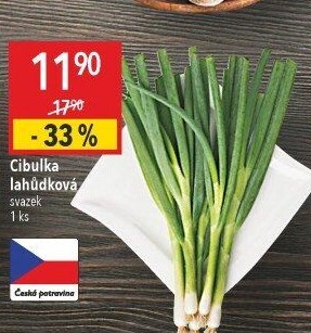 Jarní cibule svazek