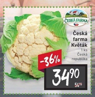 Květák Česká farma
