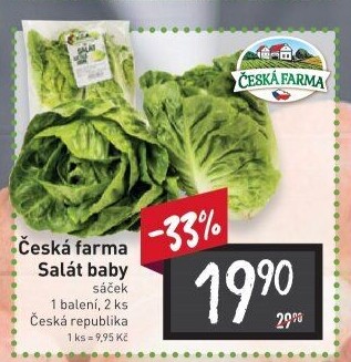 Salát baby Česká farma