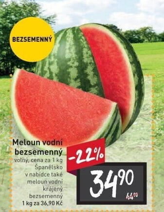 Meloun vodní bezsemenný