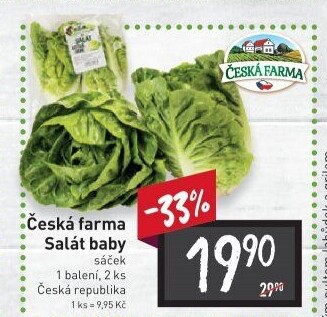 Salát baby Česká farma