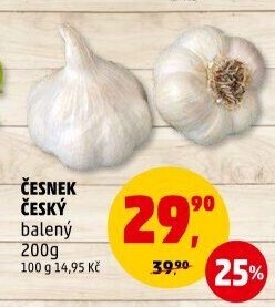 Česnek