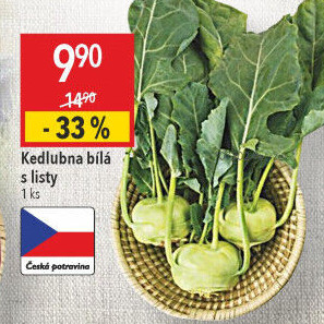 Kedlubna bílá