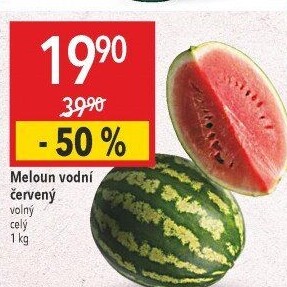 Meloun vodní