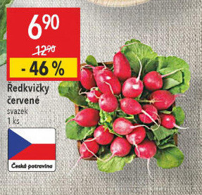 Ředkvičky svazek