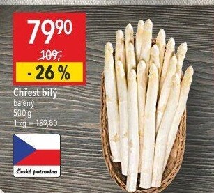 Chřest bílý