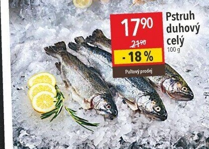 Pstruh duhový