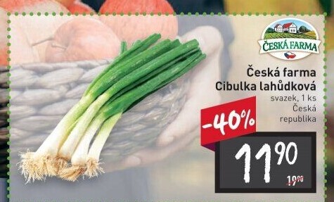 Jarní cibule svazek Česká farma