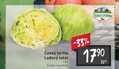 Salát ledový Česká farma