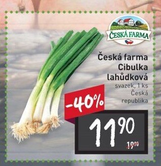 Jarní cibule svazek Česká farma
