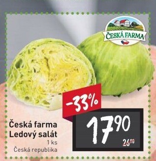 Salát ledový Česká farma