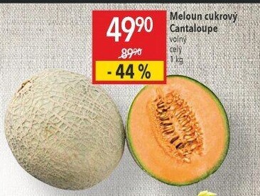Meloun Cantaloupe