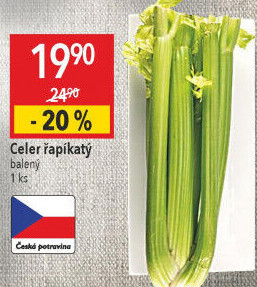 Celer řapíkatý