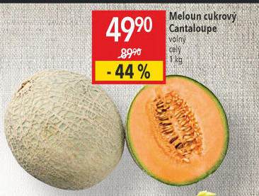 Meloun Cantaloupe