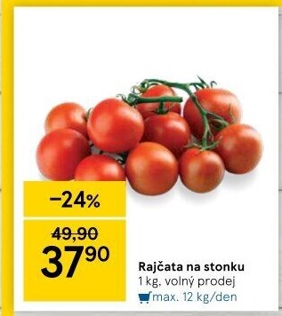 Rajčata keříková
