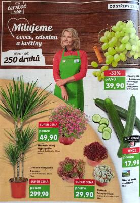 akční leták Kaufland 22.6.2022-28.6.2022