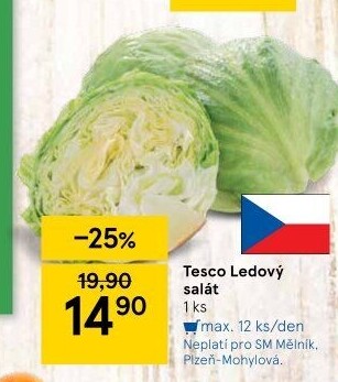 Salát ledový Tesco