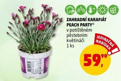 Karafiát