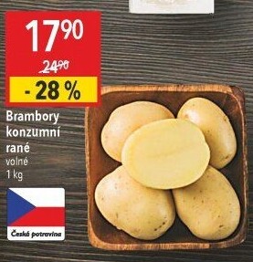 Brambory konzumní rané