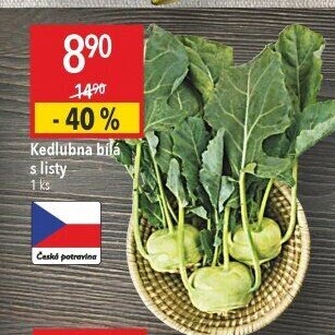 Kedlubna bílá