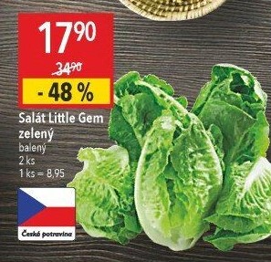 Salát little gem